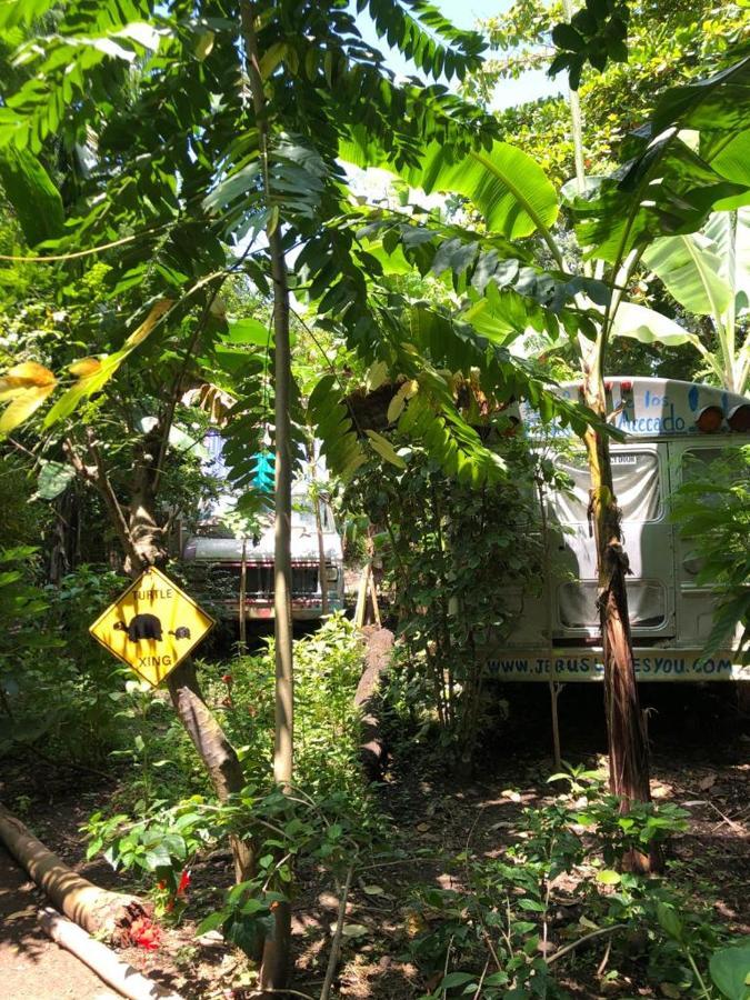 Rainbow Caravan Hostel Las Pilas Eksteriør bilde